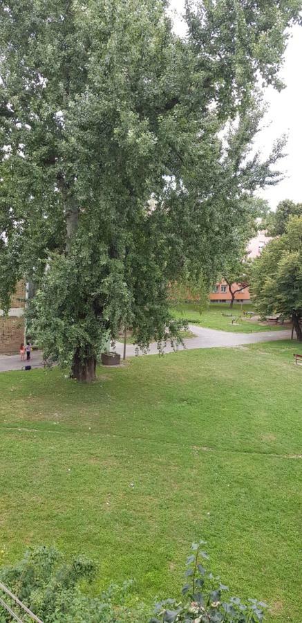 Orhideja Osijek Apartman Kültér fotó